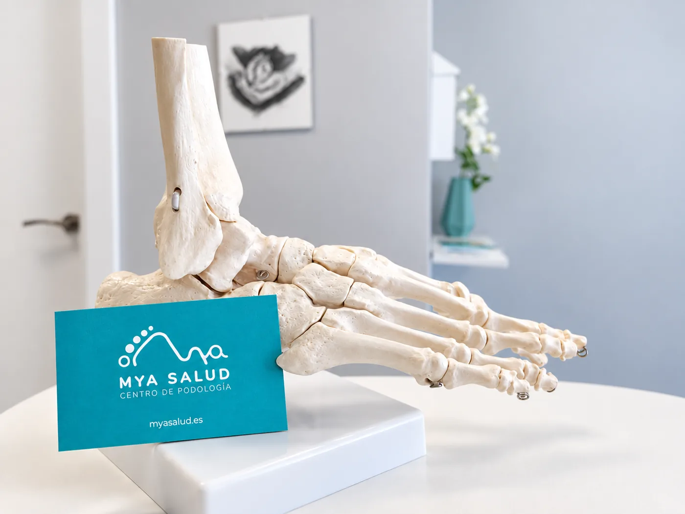 Consulta de MYA Salud con modelo anatómico del pie y tarjeta de la clínica